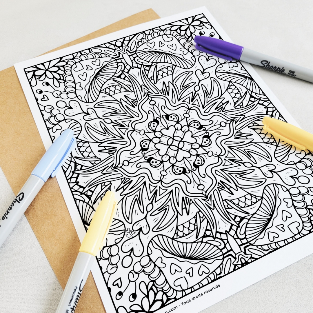 Pochette Mandalas Pleine Page No7